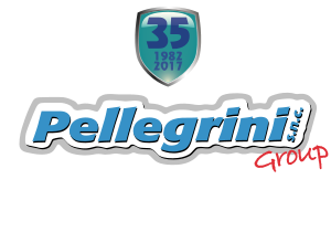 logo pellegrini